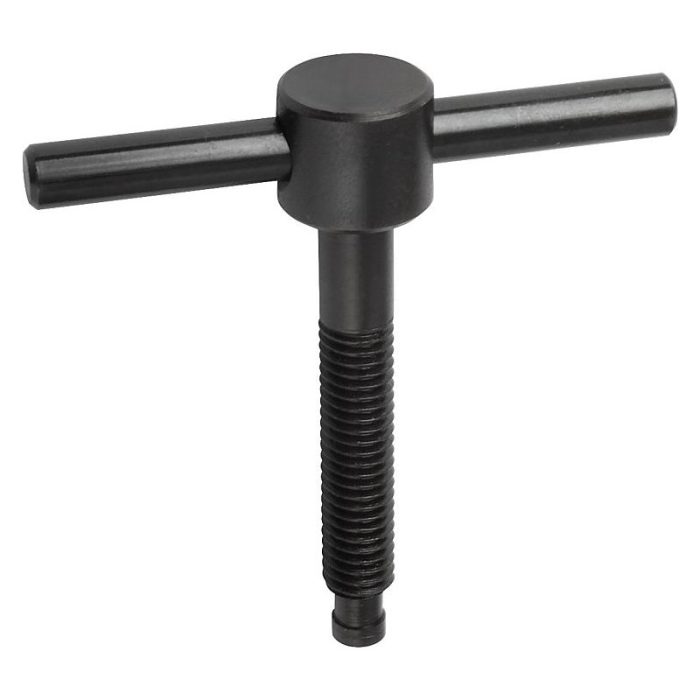 06150_FK - Tutamaklı cıvatalar, sabit tutamaklı, DIN 6304